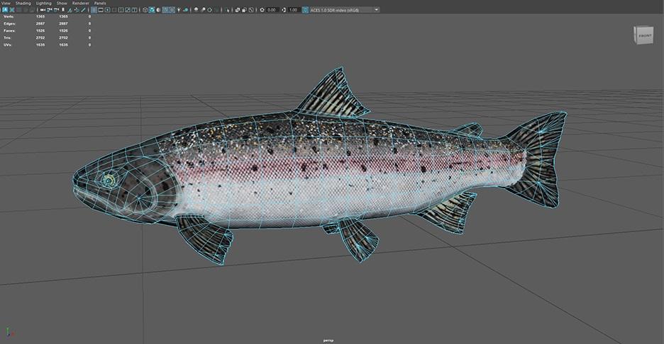 2094801197_steelheadtrout_wip(1).png.ff7297b18f2ecbcc7d1a1fea24923867.jpg