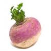 TaintedTurnip