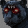 Cpanther