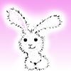 Rabbit_Z