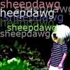 sheepdawg