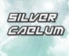 SilverCaelum