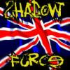 ShadowForce (DayZ)